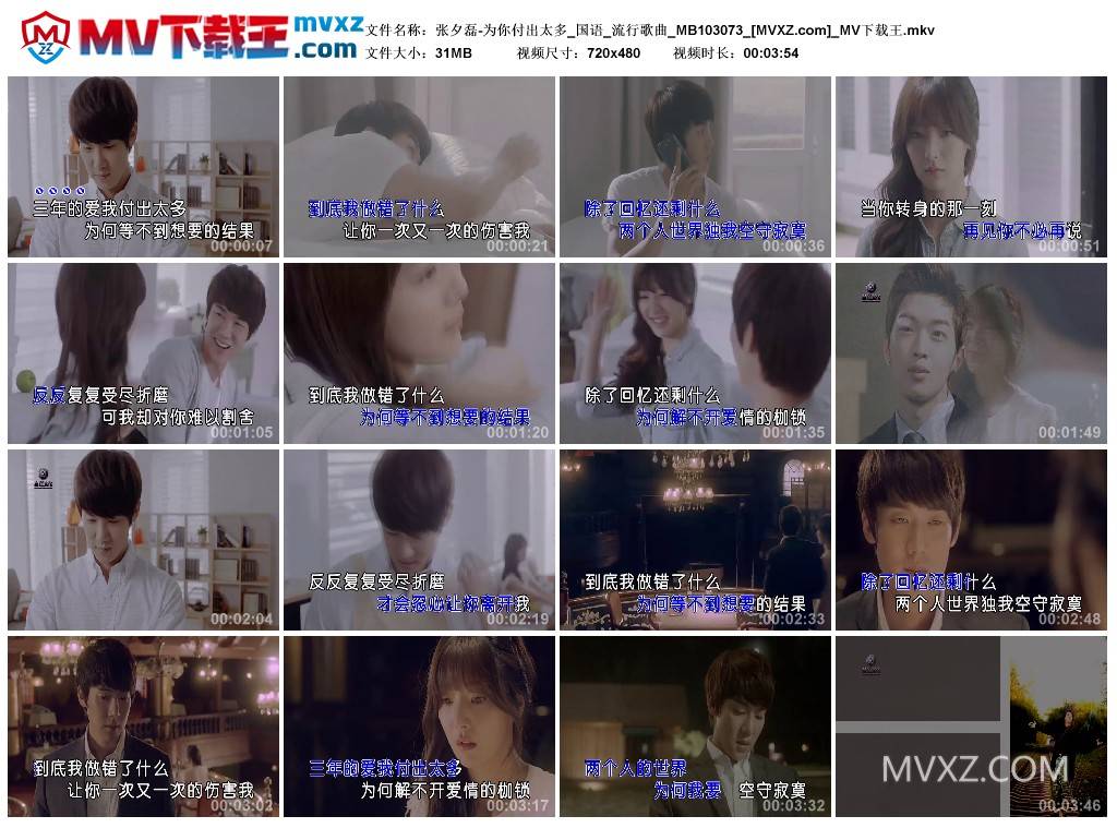 张夕磊-为你付出太多_国语_流行歌曲_MB103073
